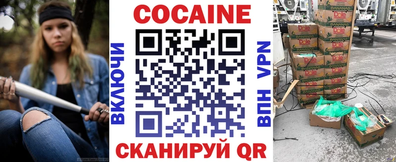 Купить Онега COCAIN FishScale