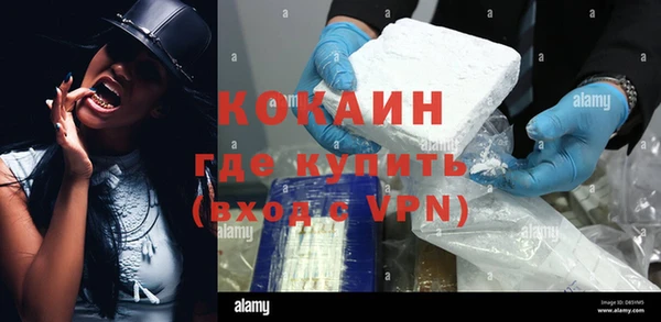 кокс Касимов