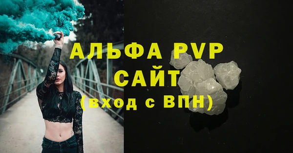 кокс Касимов