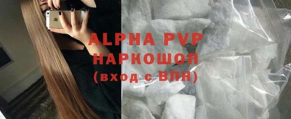 стаф Карпинск