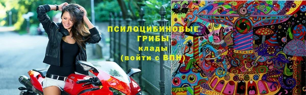 кокс Касимов