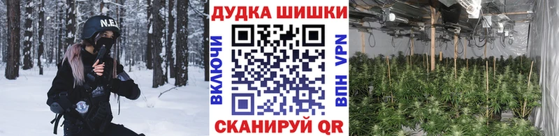 Шишки марихуана конопля Купить где Онега